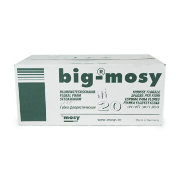Caja Esponja Big Mosy 20t